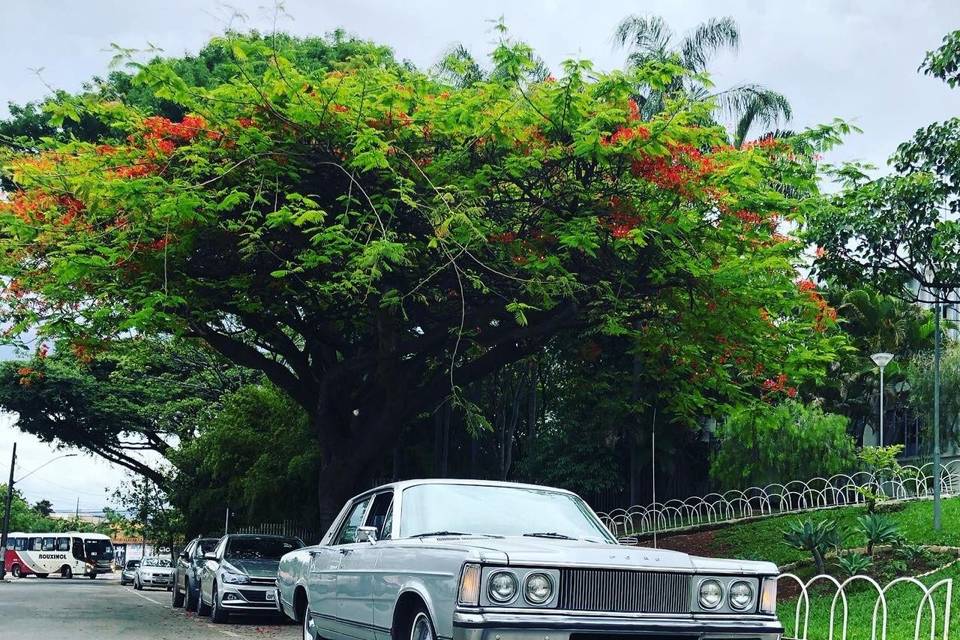 Lindo Ford landau 1976