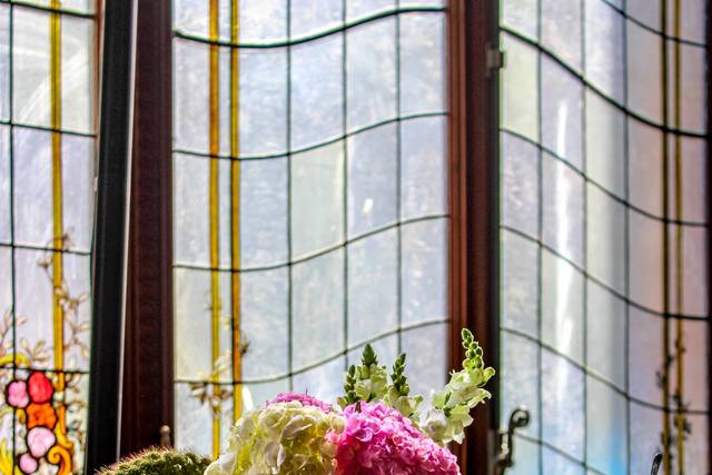 Encanto floral com luz natural