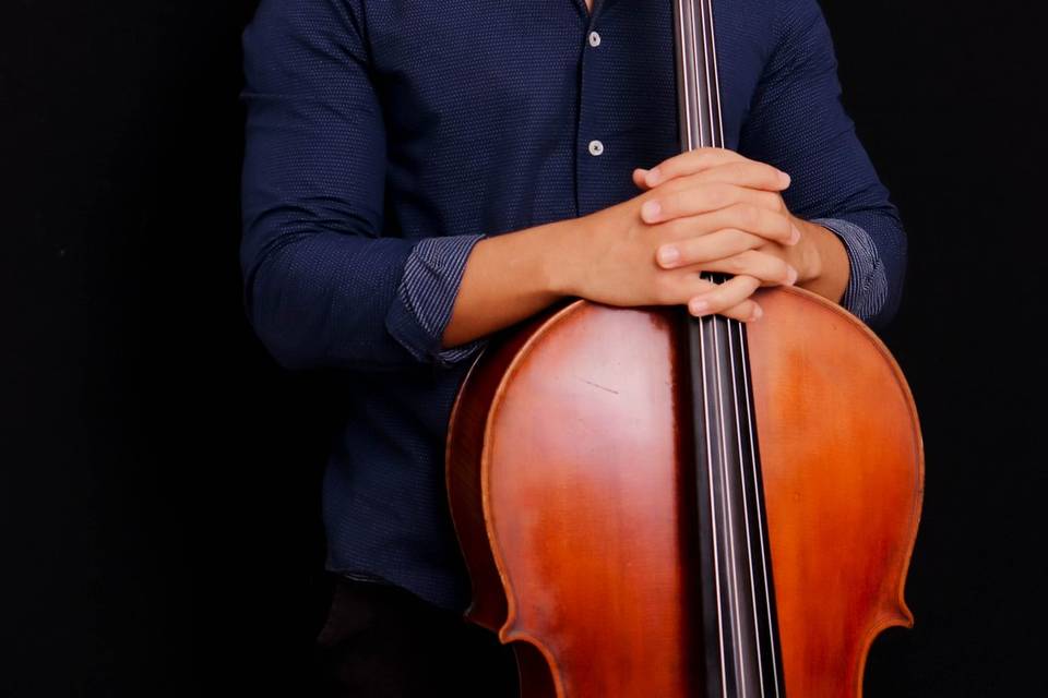 Violoncelo