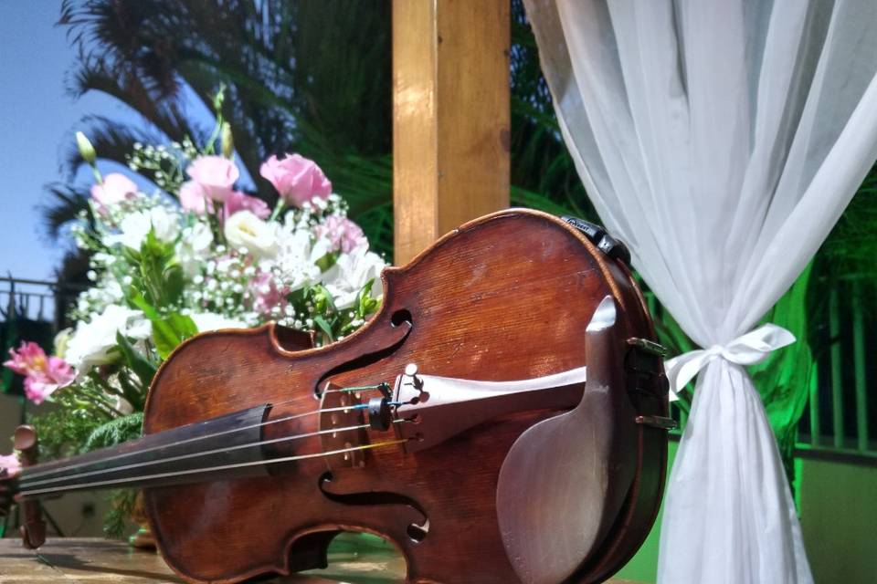 Violino