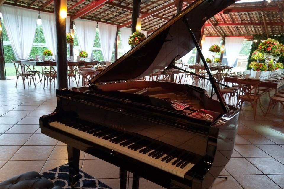 Piano de cauda