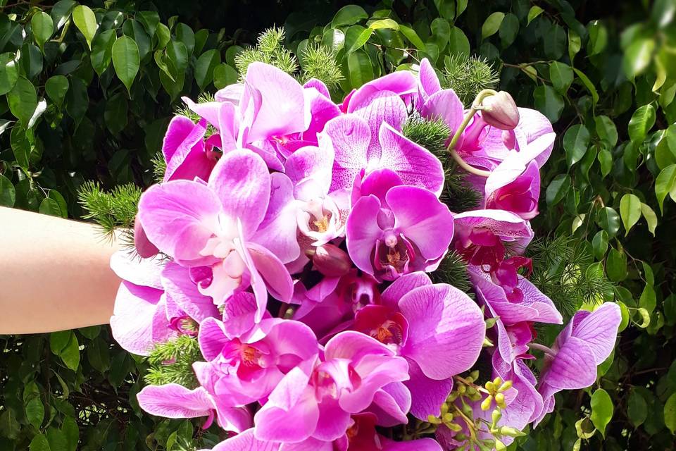 Buquê cascata de orquídea
