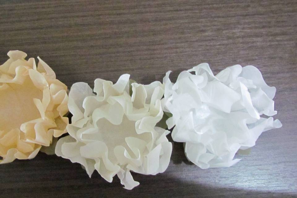 Crisantemo papel marfim, off