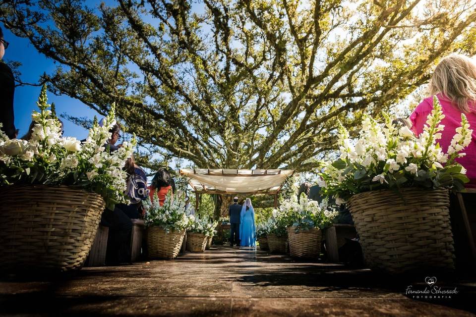 Fotografo de Casamento