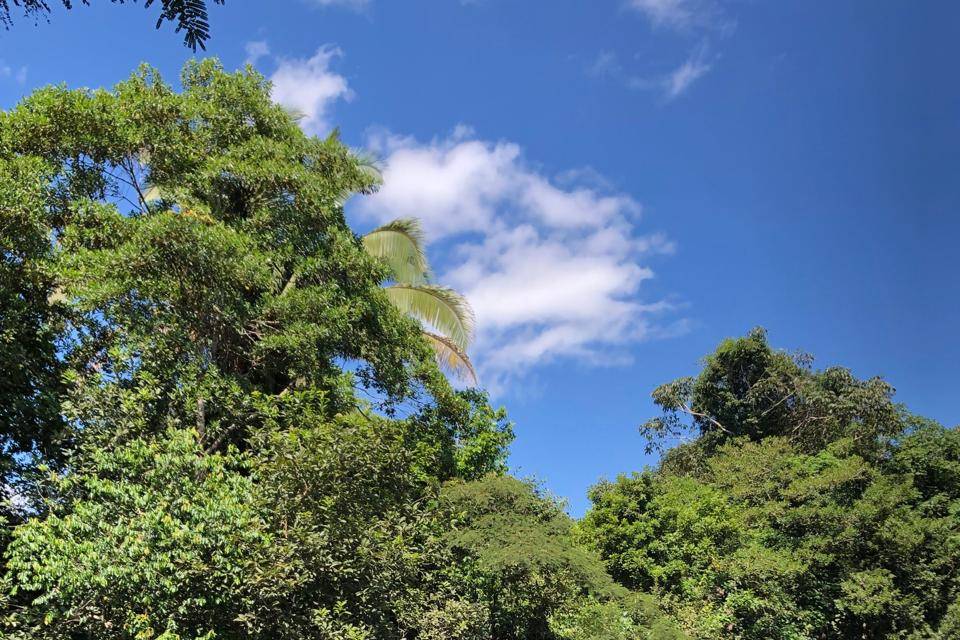 Um lugar paradisíaco