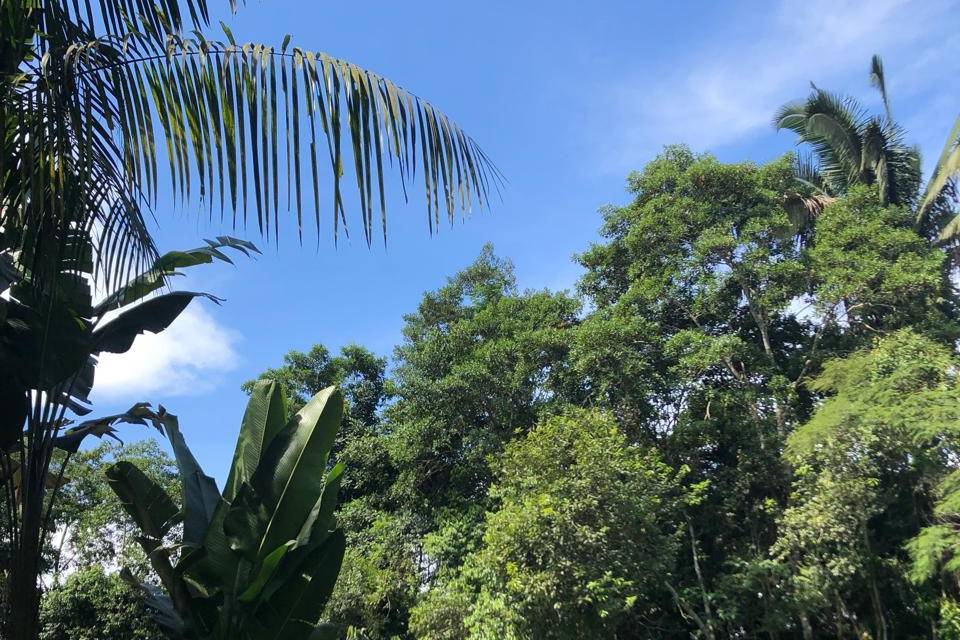 Tranquilidade