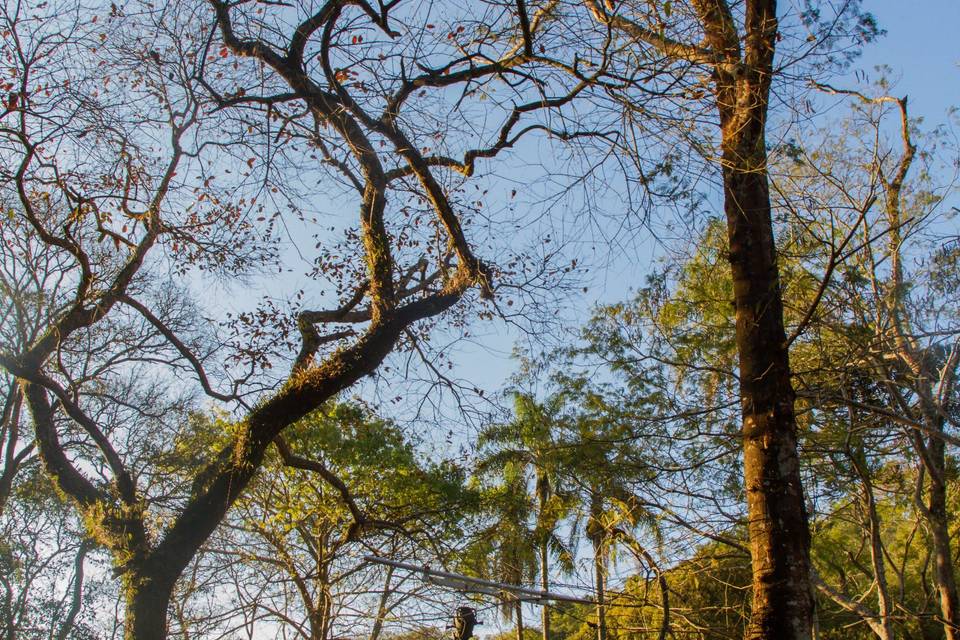Foto: Eduardo Medrano