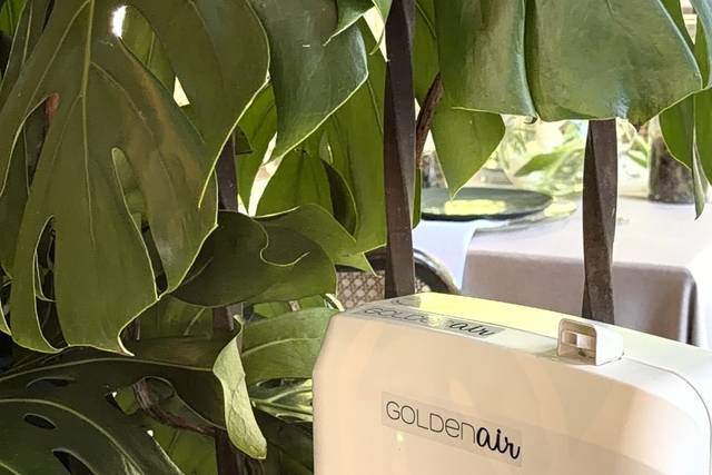 Golden Air