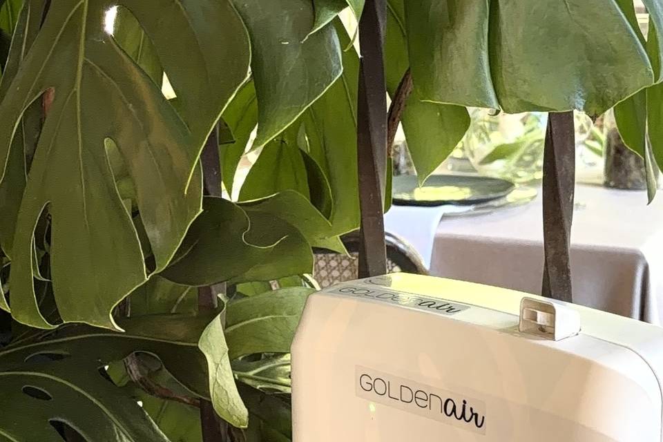 Golden Air