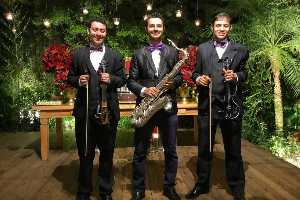 Quarteto de Cordas