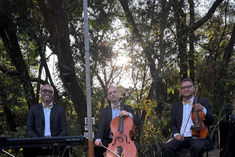Trio Instrumental