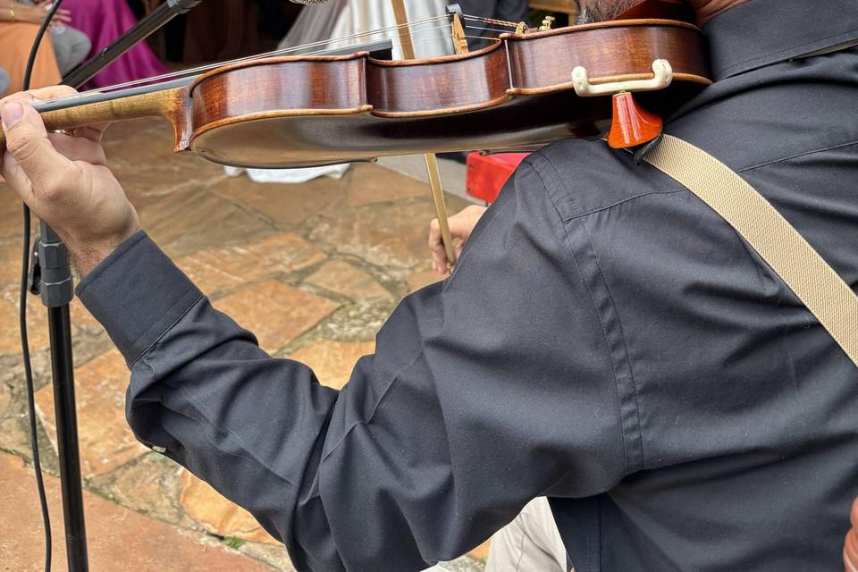 Violinon