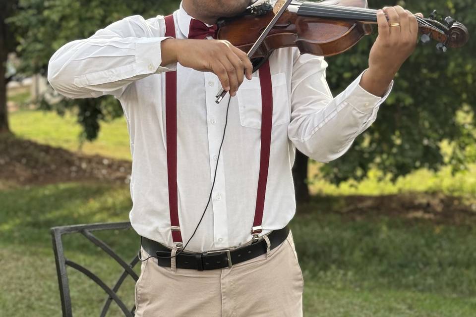 Violino