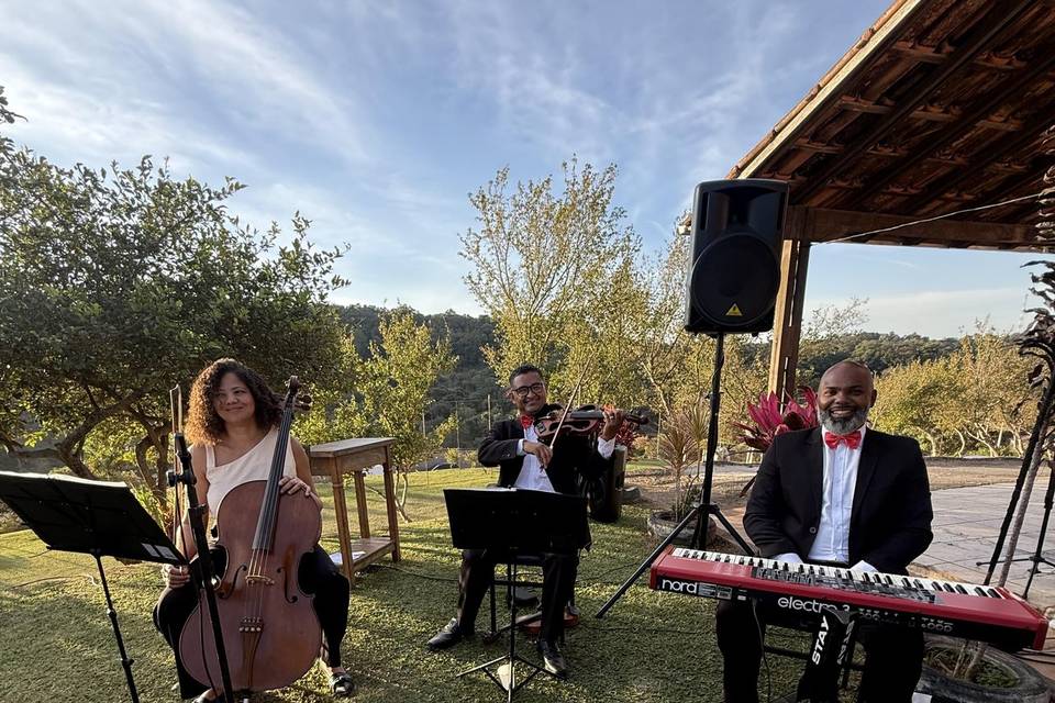 Trio