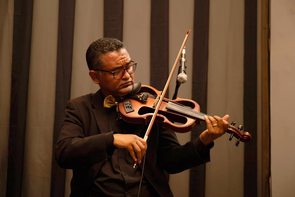 Violino