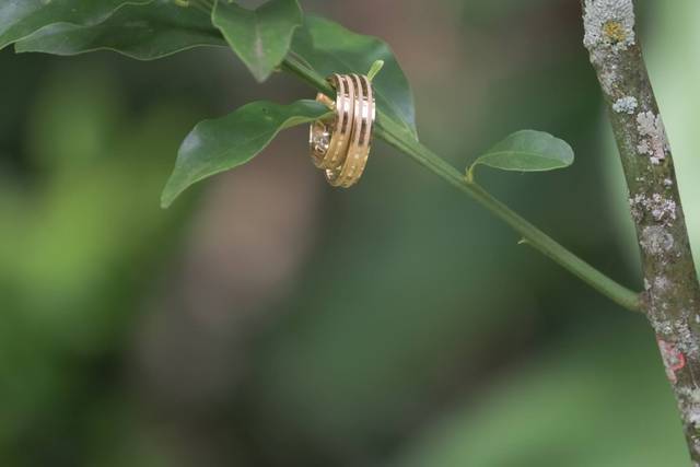 Alianças