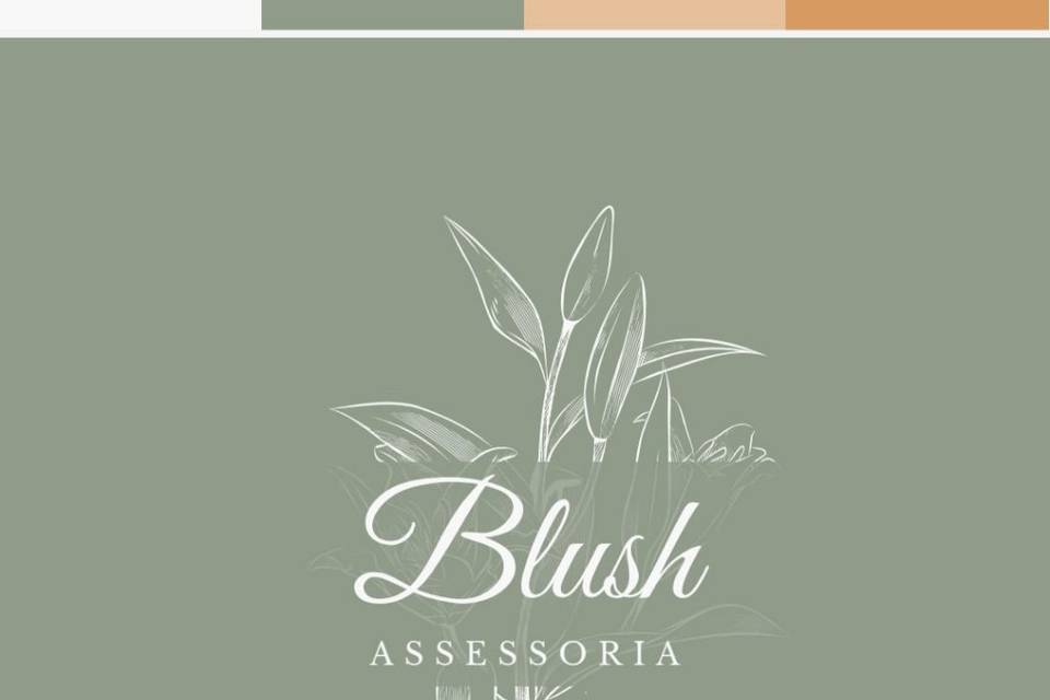 Blush Assessoria