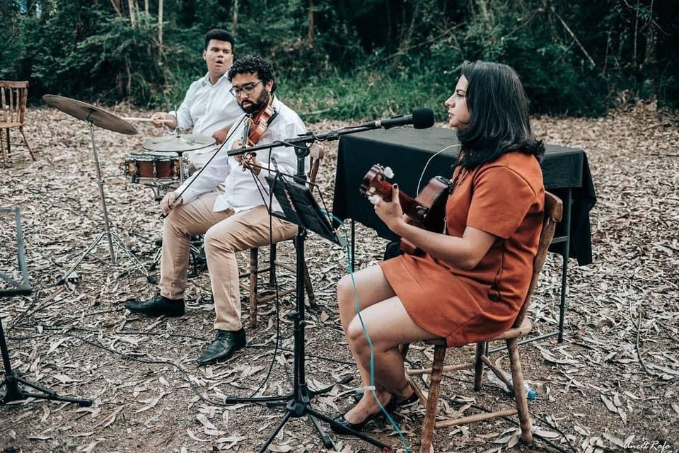 Voz Violão, violino e percussã