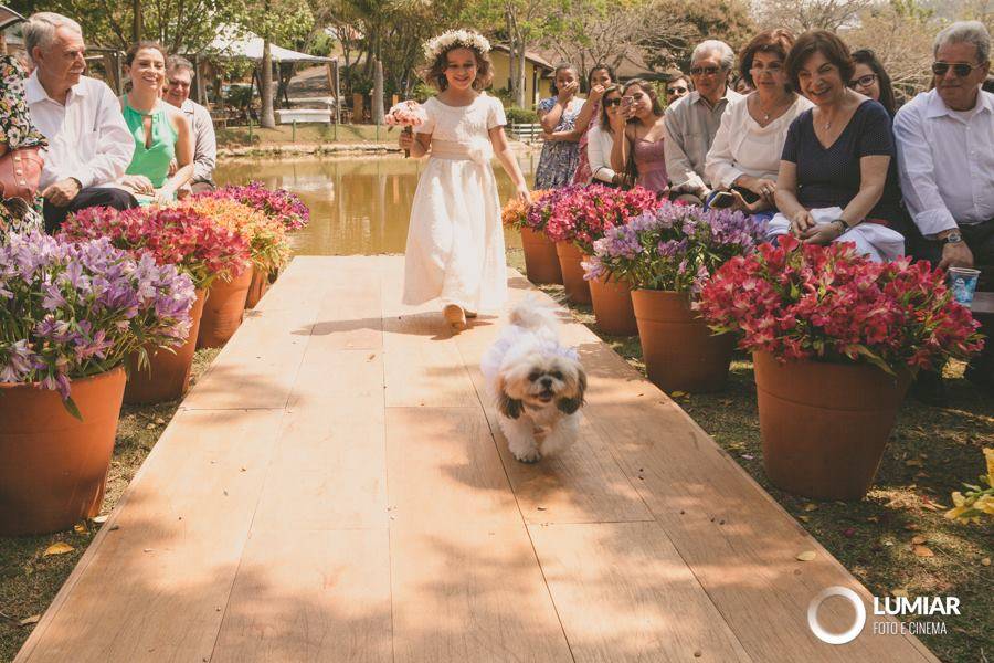 Casamento no Campo