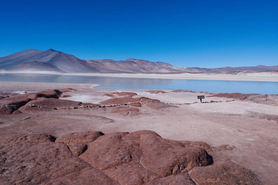 Lua de Mel no Atacama