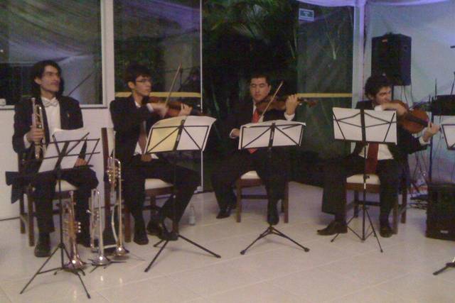 Romanza Musical Show