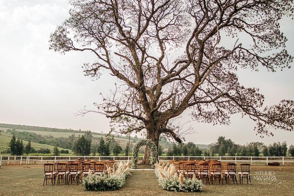 Casamento - Casal
