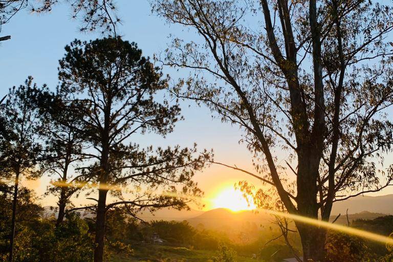 Por do sol do gramado