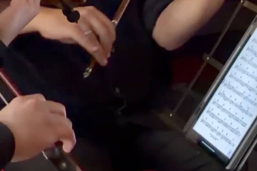 Violino