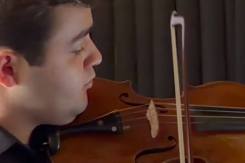 Violino
