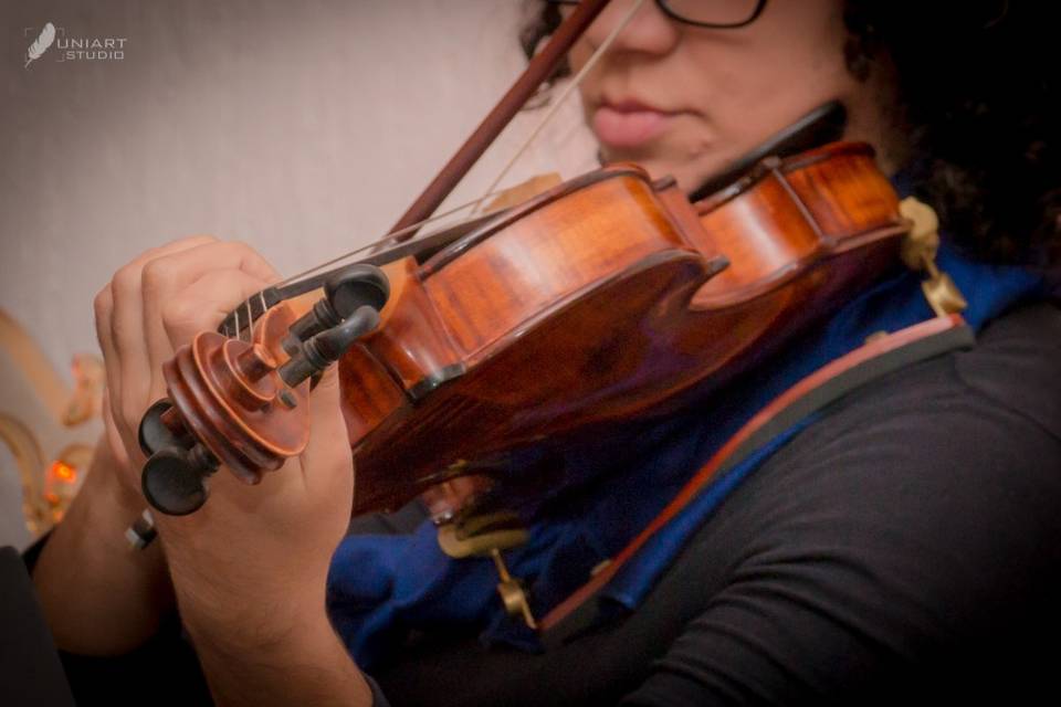 Violino