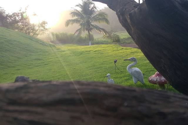 Paisagem