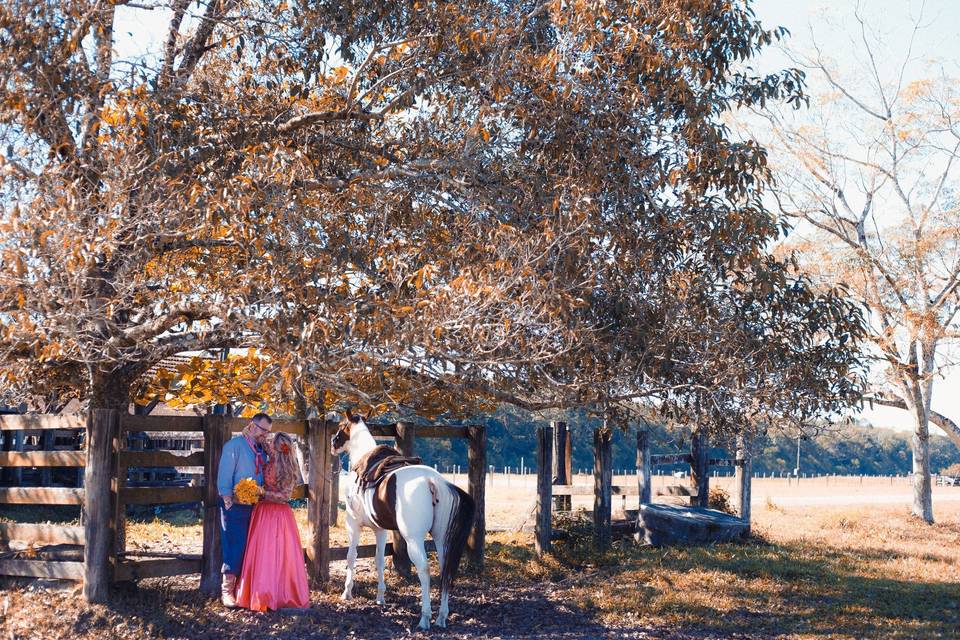 Pré Wedding Campo