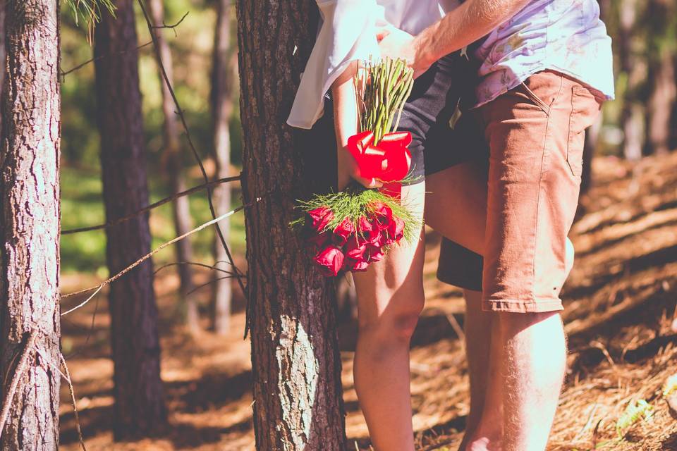 Pré Wedding em Campos de SC