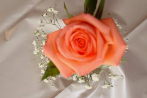 Decoração floral