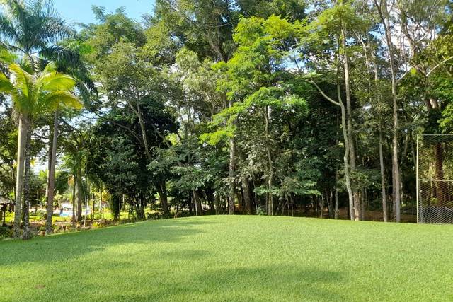 Quinta 26