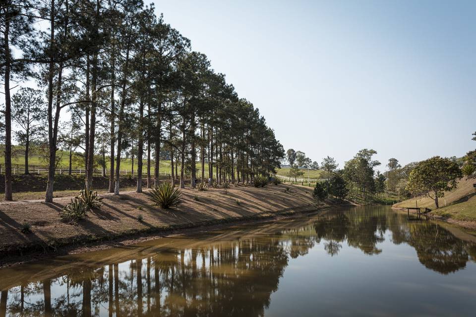 Pinheiros e lago na entrada