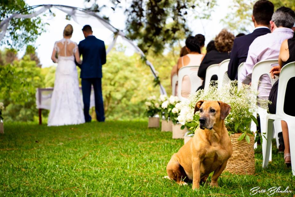 Segurança de Casamento