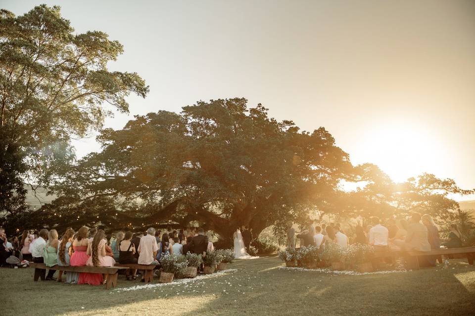 Casamento ao ar livre