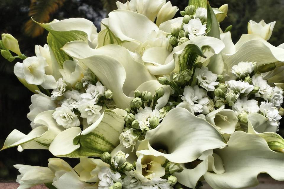 Florearte