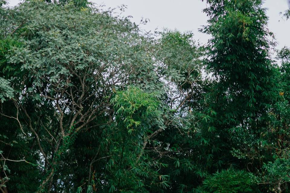 Cerimônia no jardim