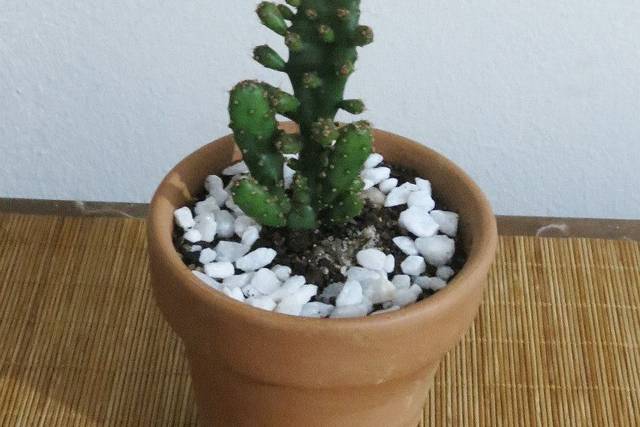 Vaso de barro