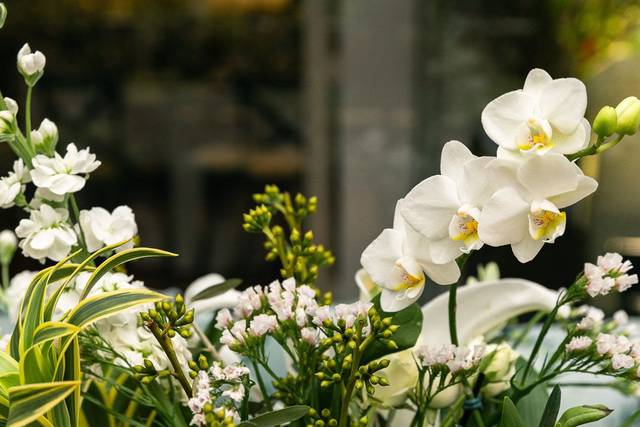 Designer Floral