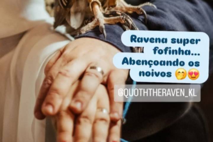Casamento Medieval Coruja Rave