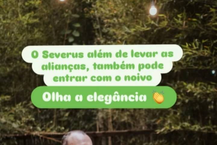 Casamento medieval Gavião Seve