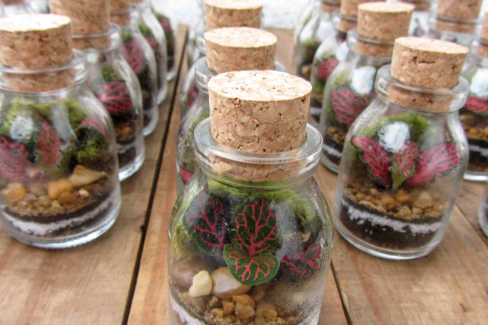 Moderno -Mini terrário