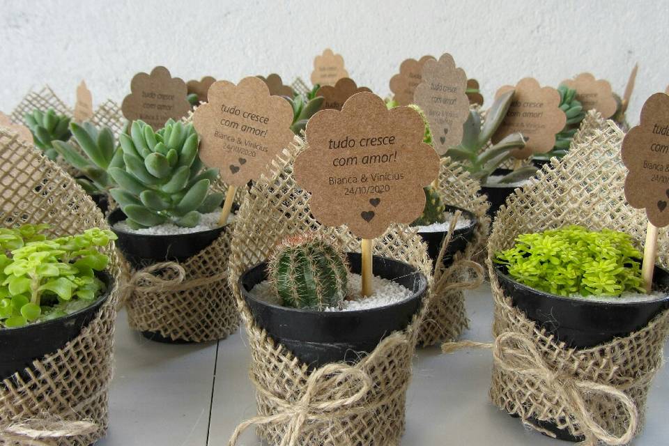 Moderno -Mini terrário