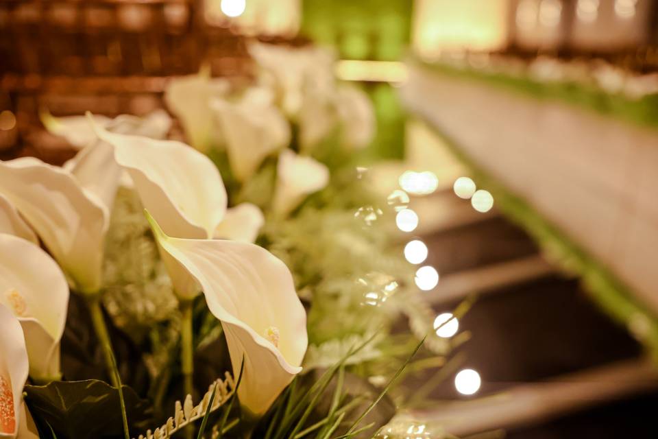 Casamento