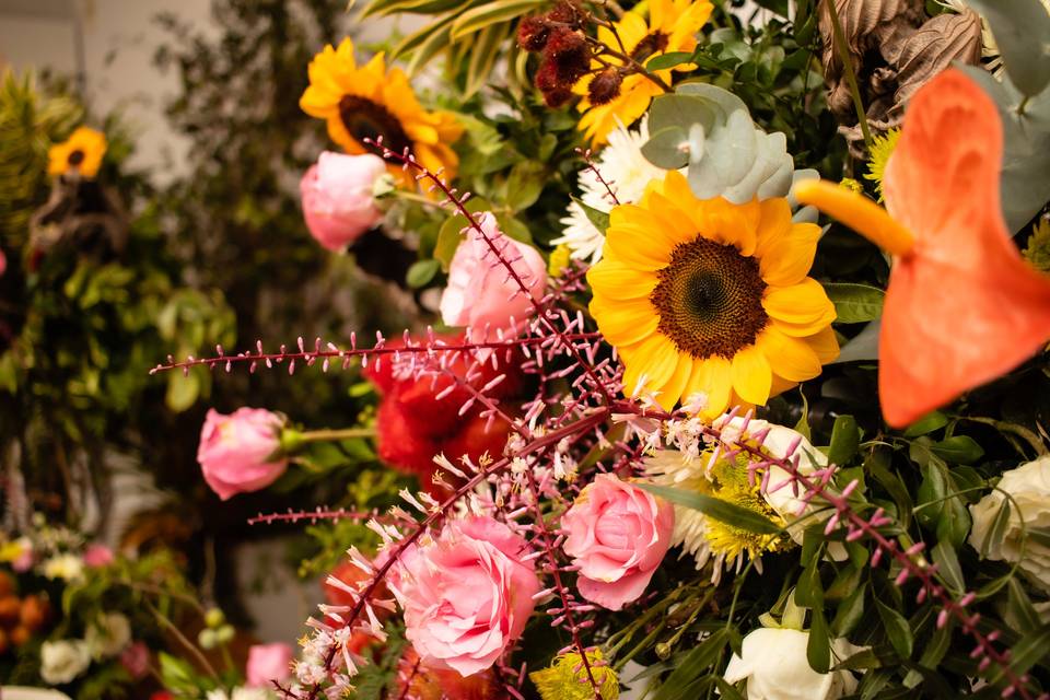 Hadassah Produções