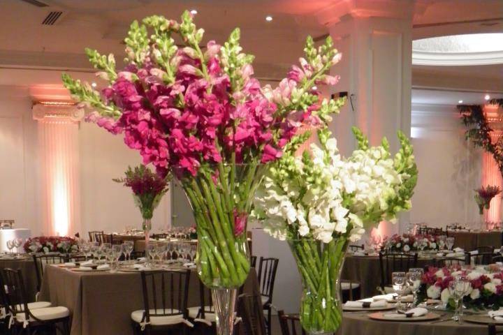 Impart Flores e Eventos