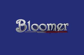 Bloomer Barreiro